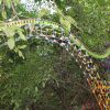 Hill over walkway