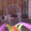DSC00326
