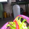 DSC00336