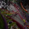 DSC00008