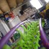 DSC000061