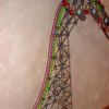 Train at Top of Lift Hill