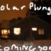 Polar Plunge