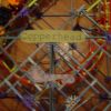 Copperhead
