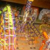Theme Park Rides