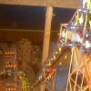 Mega Coaster