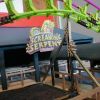 Screamin Surpent