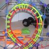loop and overview