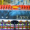 Lynx Finished