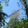 Cedar Point 2010