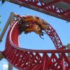 Cedar Point 2010