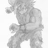 Goku super saiyn 1