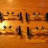 Summer_2008_036