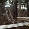 Backyard coaster
