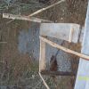 Backyard coaster
