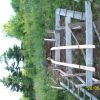 Backyard coaster
