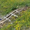 Backyard coaster