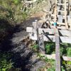 Backyard coaster