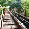 Guess the coaster