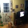 Ball tower