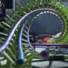 Jojo Roll POV