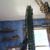 New VF (spoof) coaster?