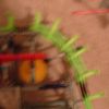 roller_coaster_1-15-09_221