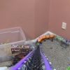 9 day build-off