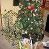 Christmas_Dive_093