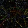 Guess the coaster#3