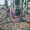 Main Tube Footer 2