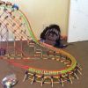 Knex Maelstrom