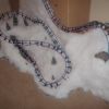 Snowblind