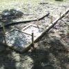 THUNDER WOOD 11-9-08