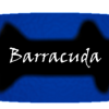 Barracuda Logo