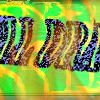 sigs