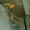 The spitting Cobra Has 3 Inversions