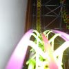Powersurge