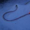 Icepick