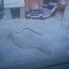 Icepick