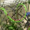 The Jungle Beast