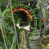 The Jungle Beast